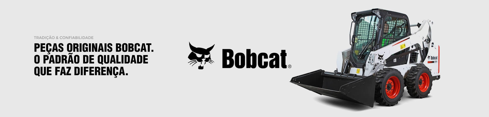 Bobcat